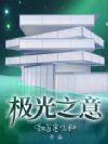 极光之意